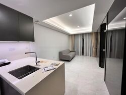 Cairnhill Nine (D9), Apartment #466998951